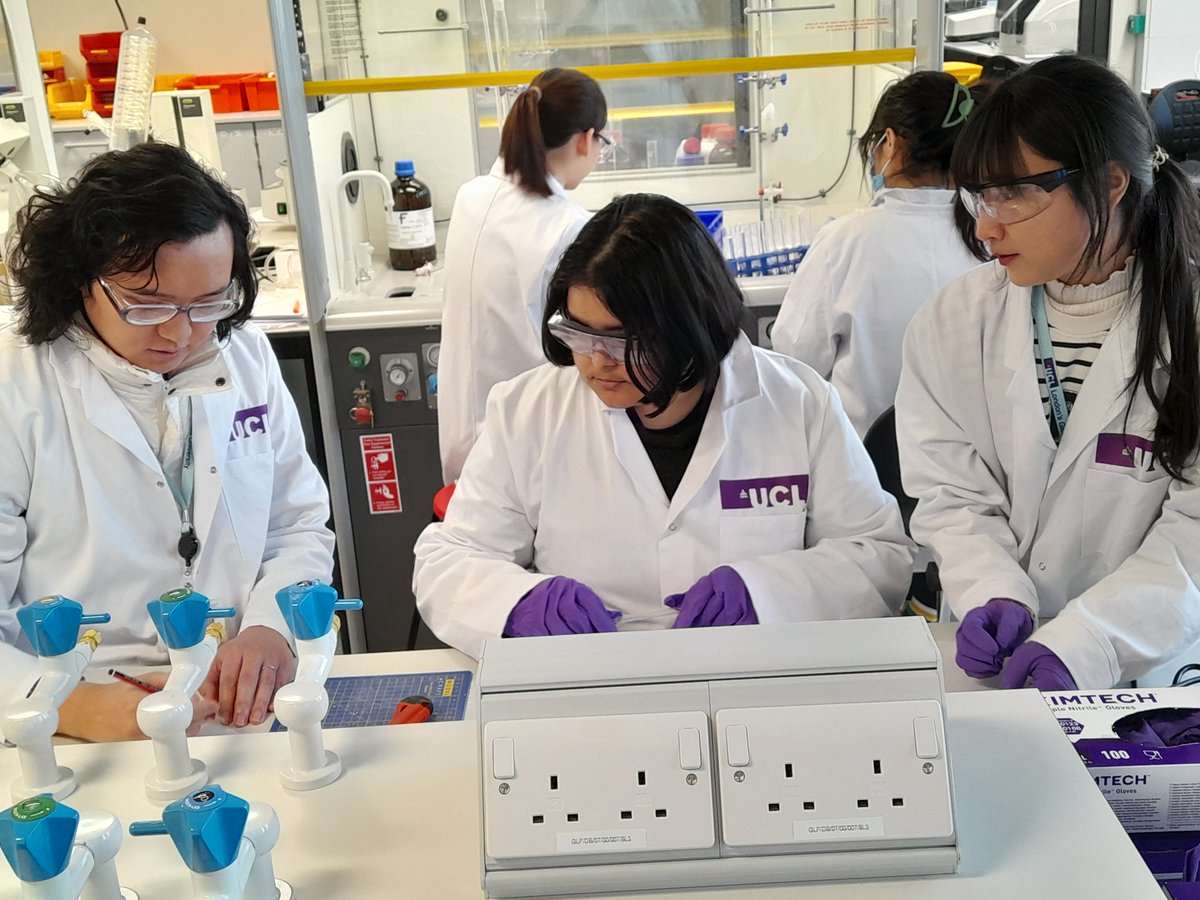 David Palomas tweet media