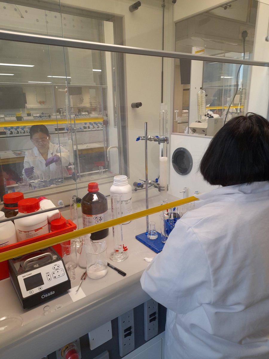 David Palomas tweet media