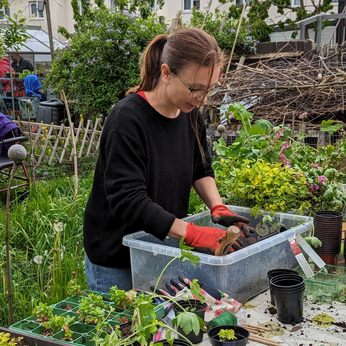 SMGrowingSpaces's tweet photo. Growing Friday is on tomorrow, Friday 2nd Feb, at Mitcham Orchard and our next action day is Saturday 10th Feb! Please come down to help! It would be lovely to see as many of you as possible 🤩🤩

https://t.co/vy69Y7i4wB https://t.co/t805dK79Xm