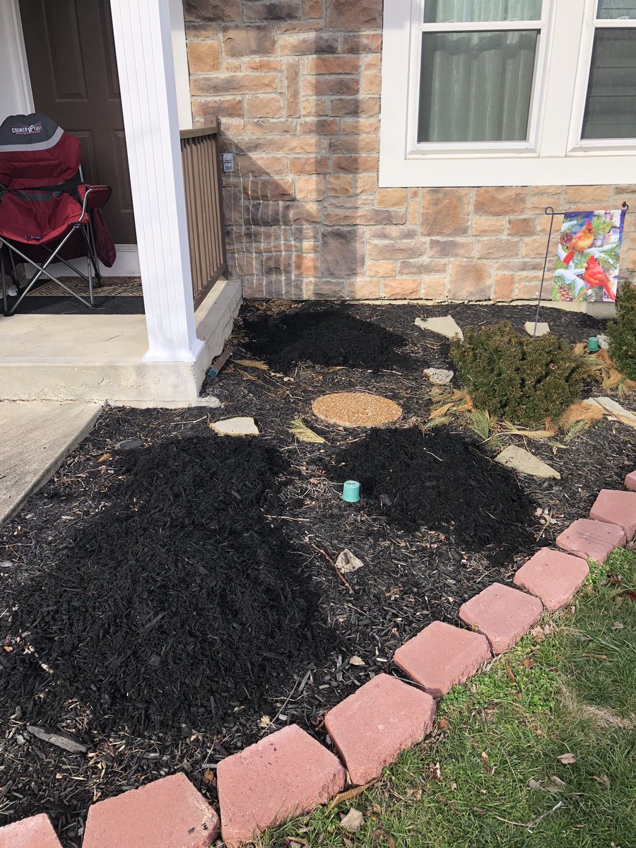 falcon0971's tweet image. Between the rain &amp;amp; my work schedule, I’m a bit late in taking down my outside Christmas decorations &amp;amp; wintering my flowerbeds. I did that today. I pulled the dead off &amp;amp; put mulch over the bulbs, to protect them during the winter. #winter #wintergardening #winterizing #gardening