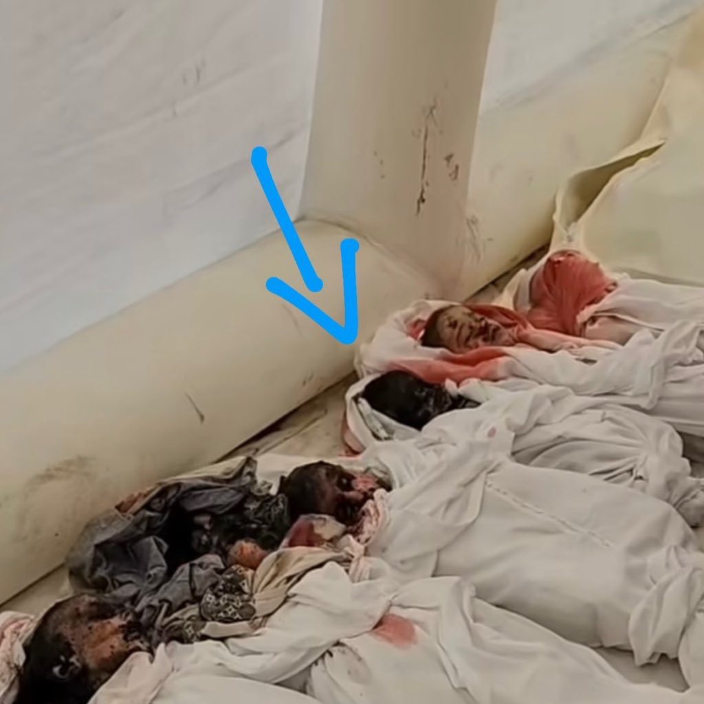 الطفلة مريم أحمد التي قـتـ/ـلتها طيارات الاحـتـ.ـلال خلال الحرب المستمرة على غزة.

عصفورة في الفردوس الأعلى باذن الله.