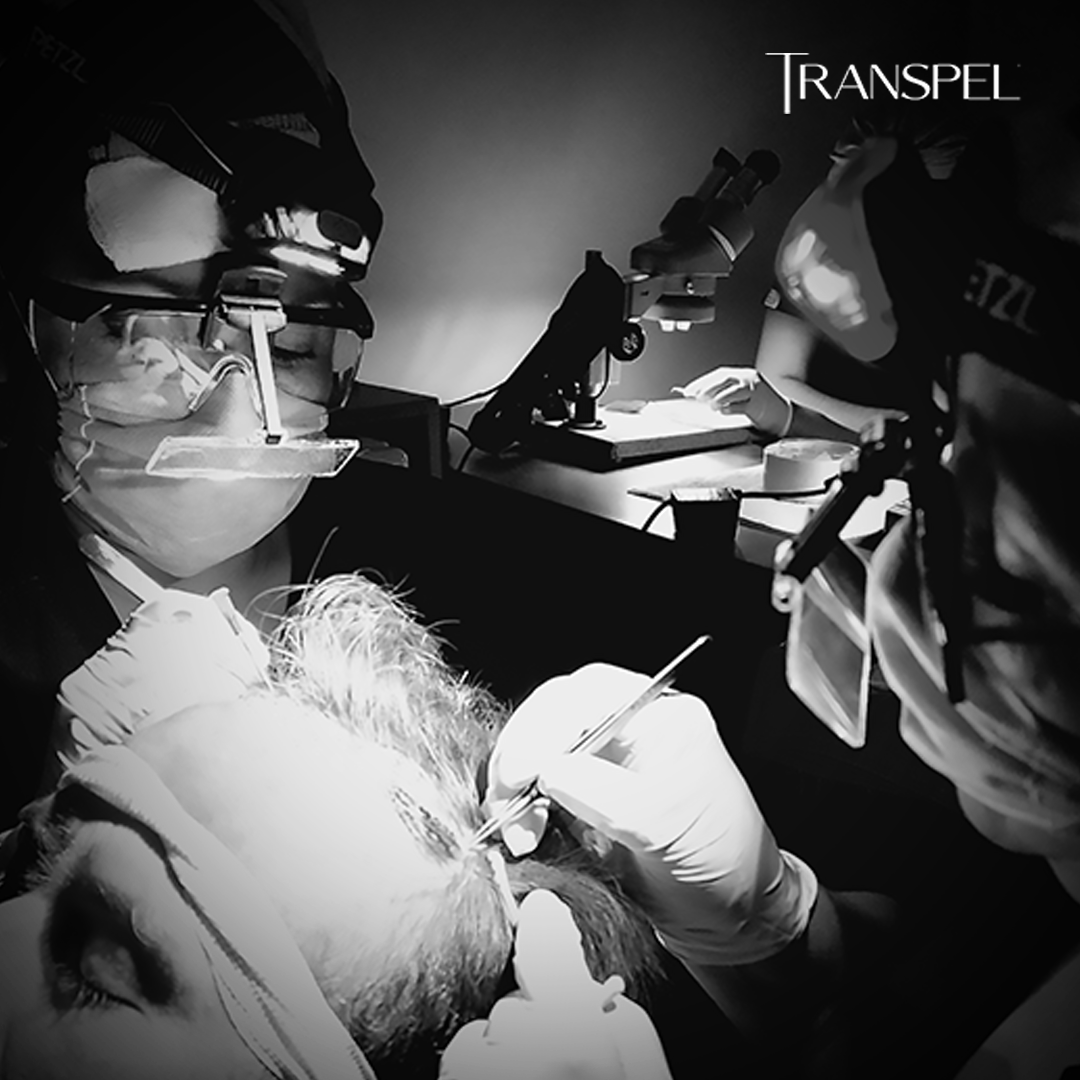 Transpel1's tweet photo. Con cuidado y dedicación, cada grupo folicular es colocado en su lugar para dar vida a tu nueva imagen

Transpel
Agenda tu cita +52 1 33 2255 5045
#trasplantedecabello #RecuperaTuCabello #disfrutatuimagen #cabello #AgendaTuCita https://t.co/KKanY6hEZ4