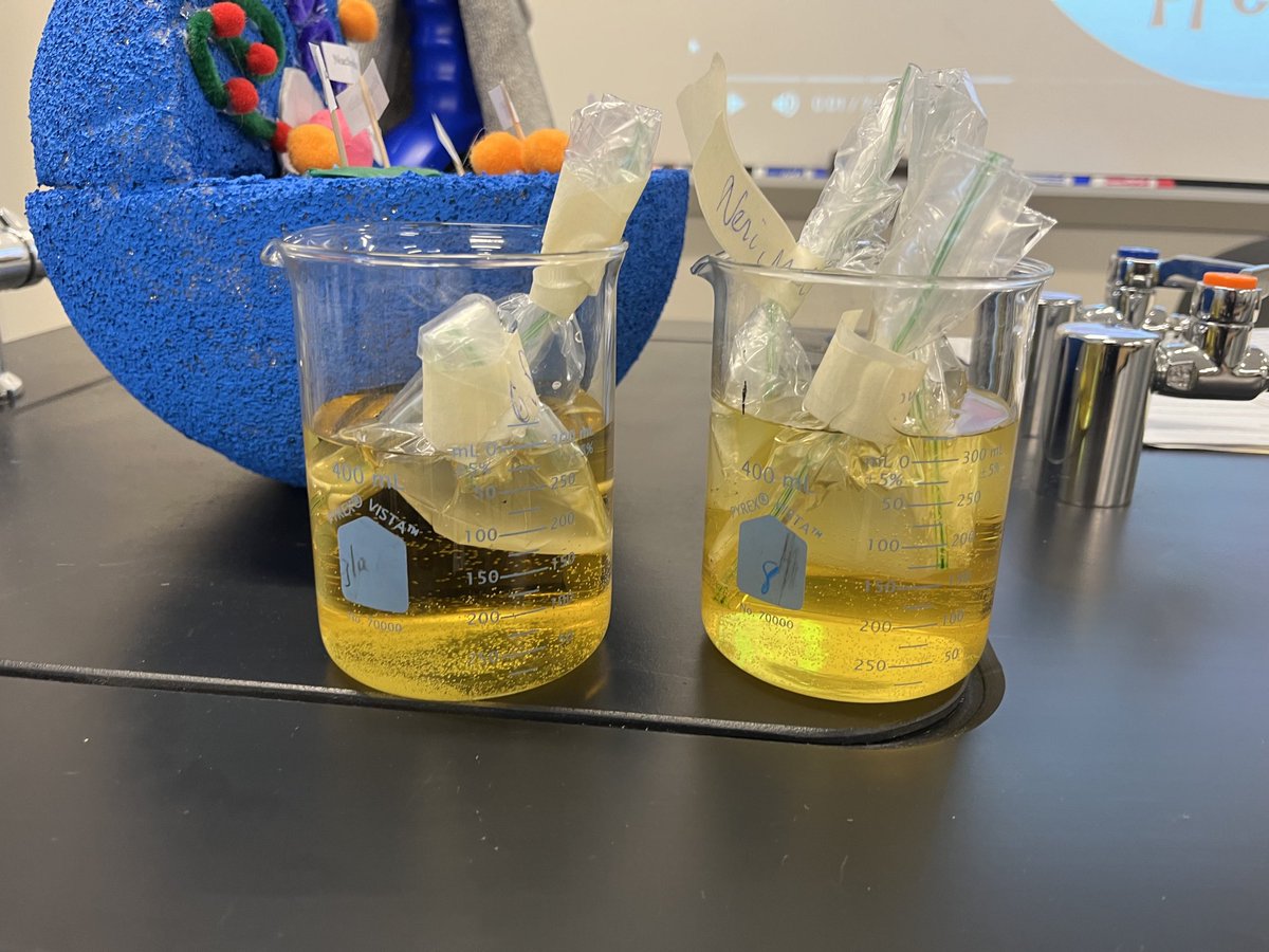 EdMK32's tweet photo. Testing to see how cellular diffusion works in biology. Tomorrow we will check out the results and share. 🧡🖤🦅 https://t.co/unVsLlVZKS