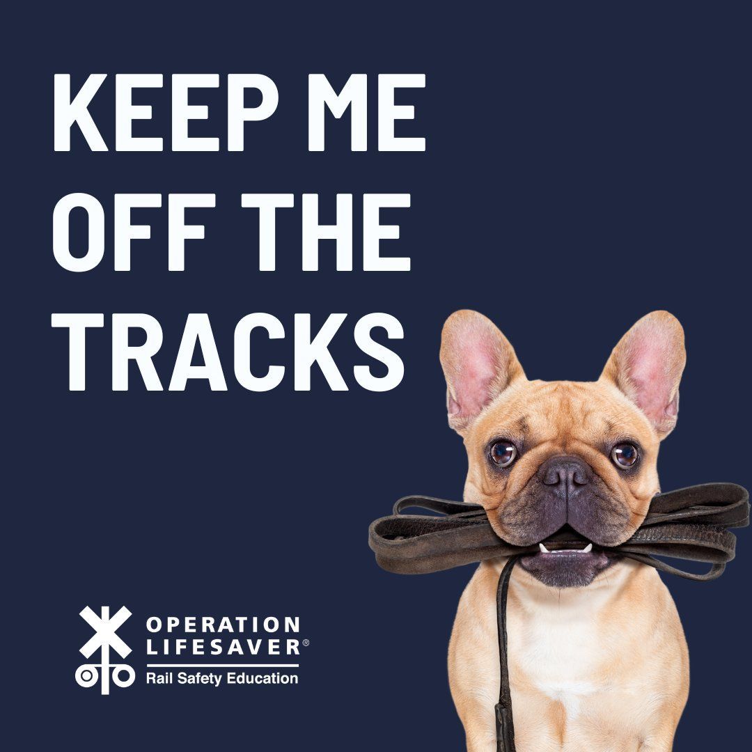 Keep yourself and your furry friends safe around tracks and trains! 🚂
#RailSafetyEducation
#SeeTracksThinkTrain