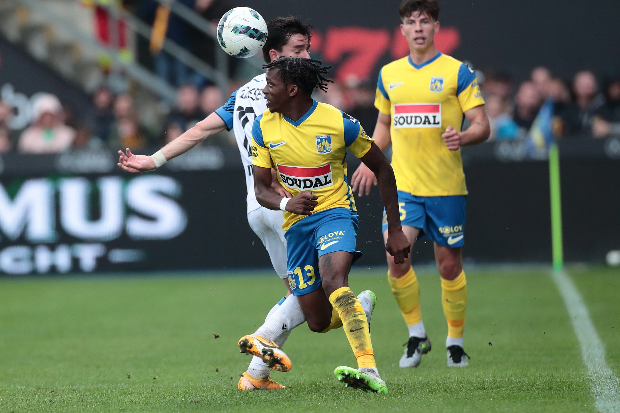 Westerlo fc online