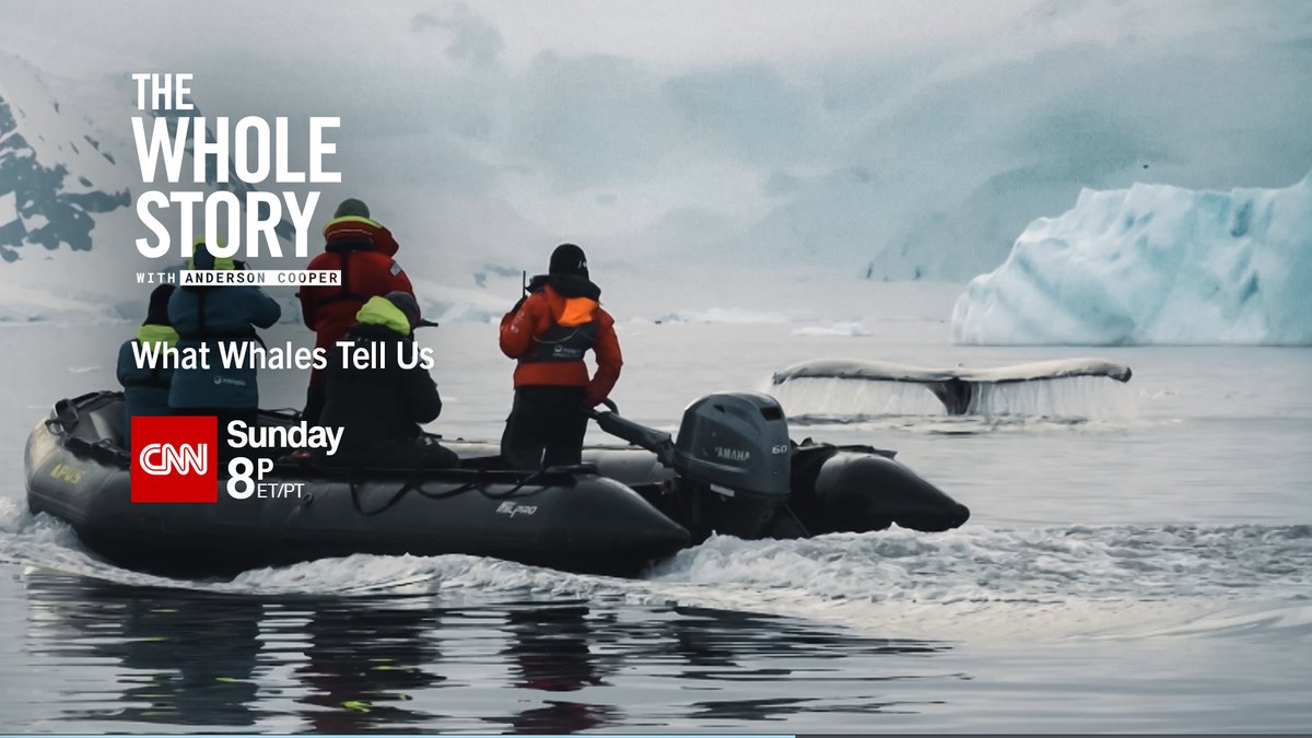 Ari Friedlaender, @ucsc professor and ecologist, will be featured in an upcoming @CNN program, 'What Whales Tell Us.' The episode premieres on Sunday, February 4 at 8pm ET/PT. More info, including the trailer, can be found here: cnnpressroom.blogs.cnn.com/2024/01/29/cnn…