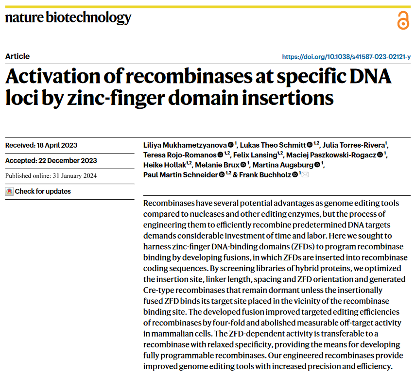 Exciting breakthrough in #GenomeEditing! Researchers have engineered Cre-type recombinases with zinc-finger DNA-binding domains, boosting targeted editing efficiency by 4x & eliminating off-target effects in mammalian cells.  #biotech #scienceinnovation