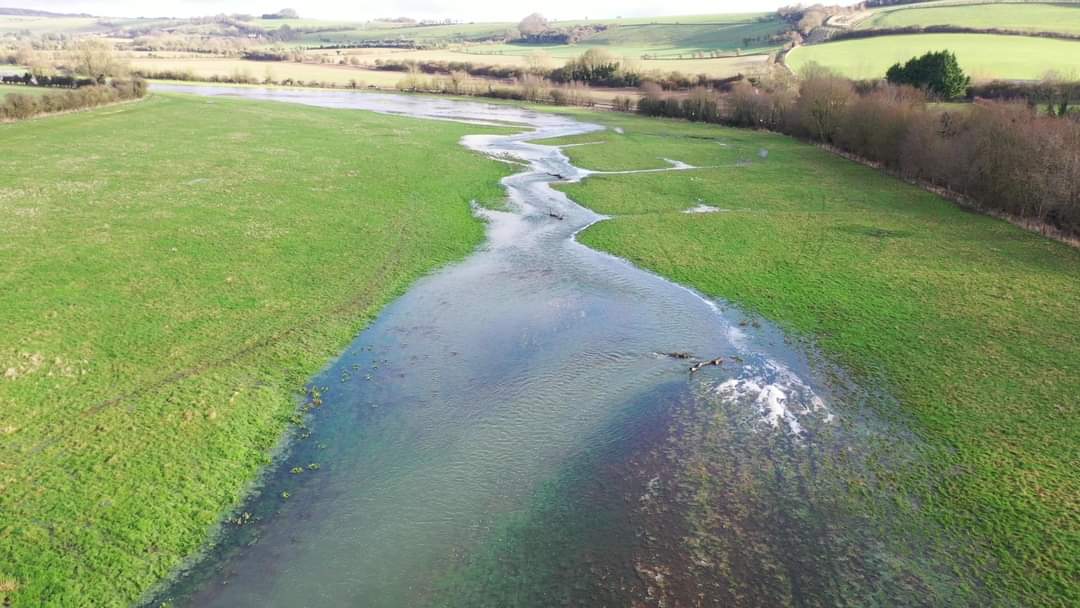 Re-wiggling? Freeing rivers from the artificial constraints imposed on them in the past by humans brings multiple benefits, from reducing downstream flooding to wins for wildlife. Our River Og Rewiggling project - 1,000 metres of the Og has been returned to its natural path.