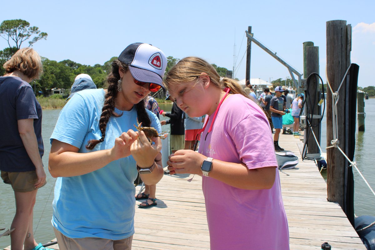 Dauphin Island Sea Lab tweet media