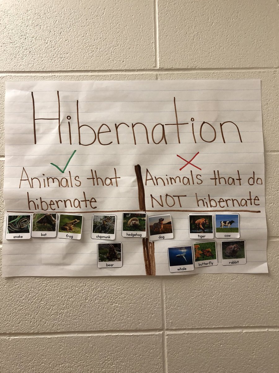 Ms. Sydoryshyn tweet media