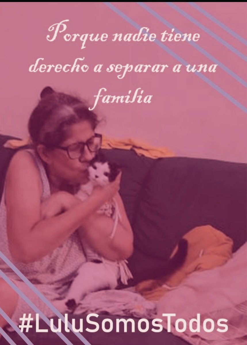 Marisa84157935's tweet photo. El 17 ya no le responde #IsolinaRamirez, dueña de #Safari #Carabobo.Su hijo tenía qué llevarle Lulú el 18.El 18 a su llegada la llama y le dice que Lulú se escapó😿,rompió jaula y dejó collar y que imposible encontrarla porque es salvaje😳No hubo billete viaje,no la buscaron💔😡 https://t.co/a6RhViUs50
