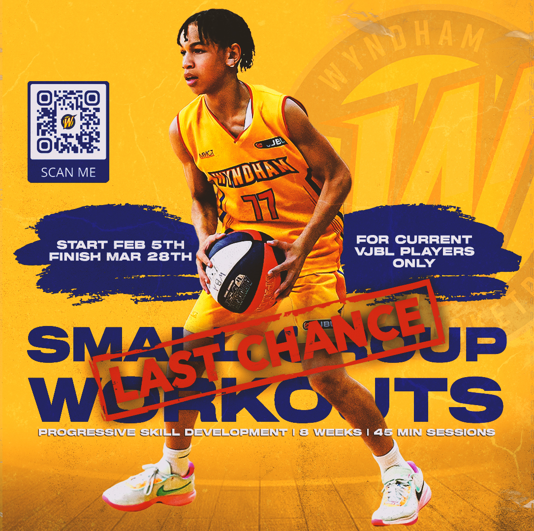 🚨LAST CHANCE TO REGISTER🚨

Small Group Workouts start NEXT WEEK

❓For current VJBL players only
🗓️ Begins Feb 5
💲$180
🔗 playhq.com/basketball-vic…