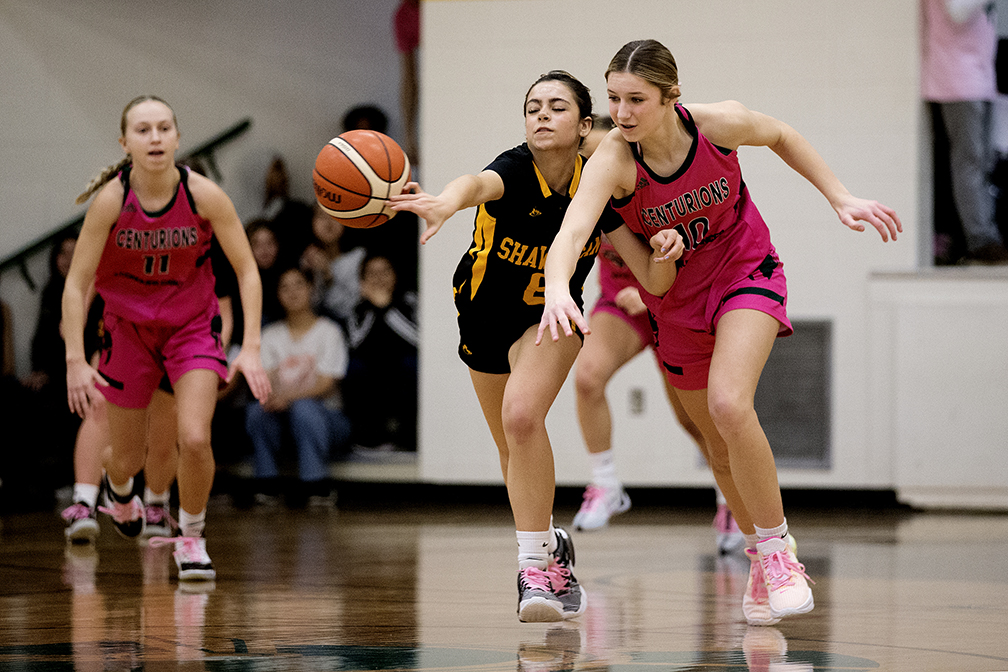 David Bloom tweet media