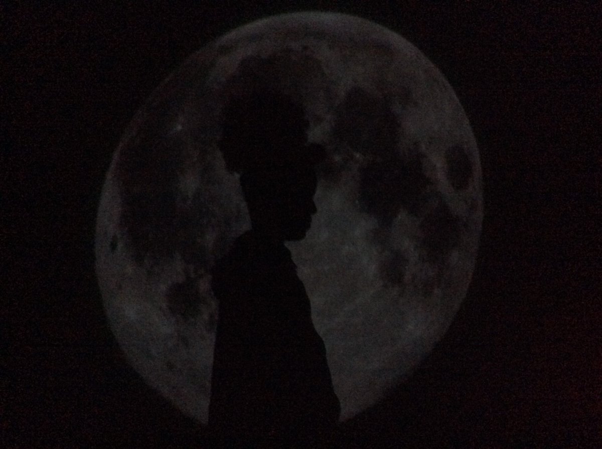 Year5Beck tweet media