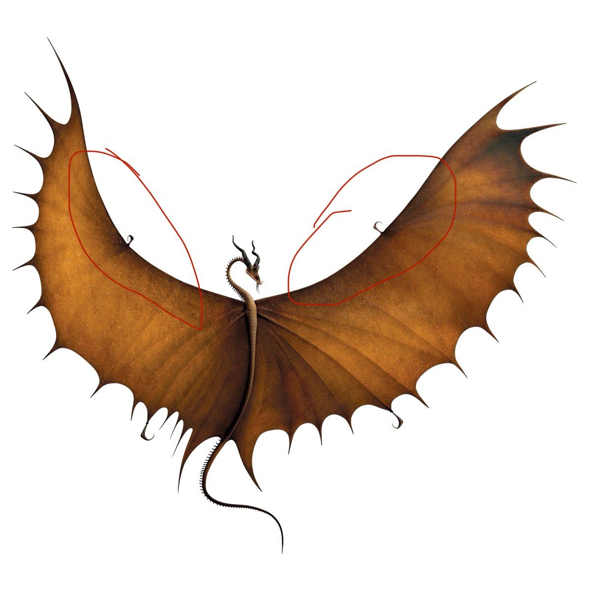 @JTellegen @JTellegen I have a #DT9R question about Buzzsaw’s dragon.  What I’ve noticed is that Jack has serrated edges on the front of his wings—which is NOT seen in other Timberjacks.  Is Jack be a newly-evolved subspecies?  If so, perhaps we could call him the Saw-winged Timberjack.