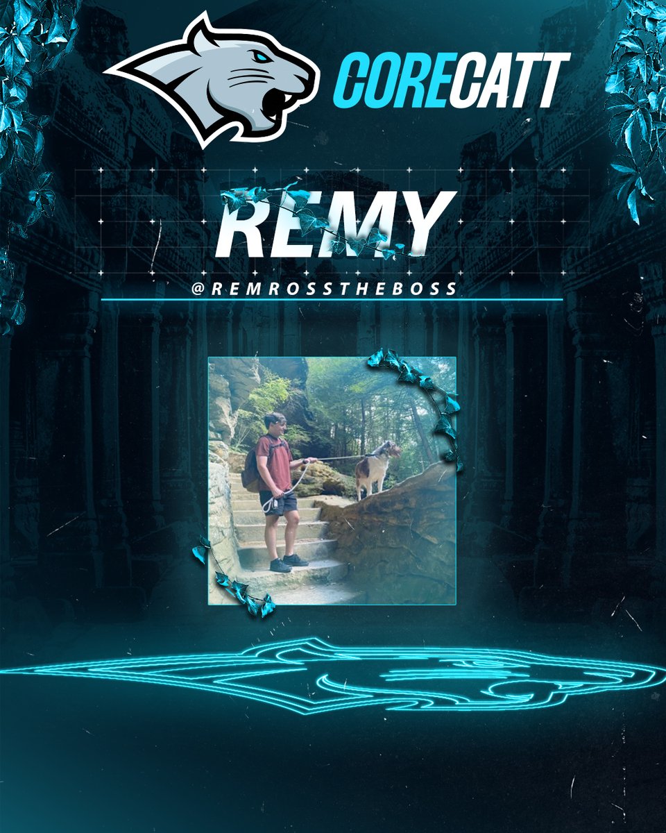 CORECATT tweet media