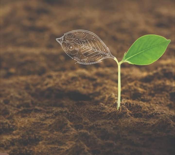 اسلام و علیکم 
جمعہ مبارک دعا ھے اللہ پاک سے  کہ اللہ پاک ہر ایک کی مشکلات آسان فرماۓ أمین