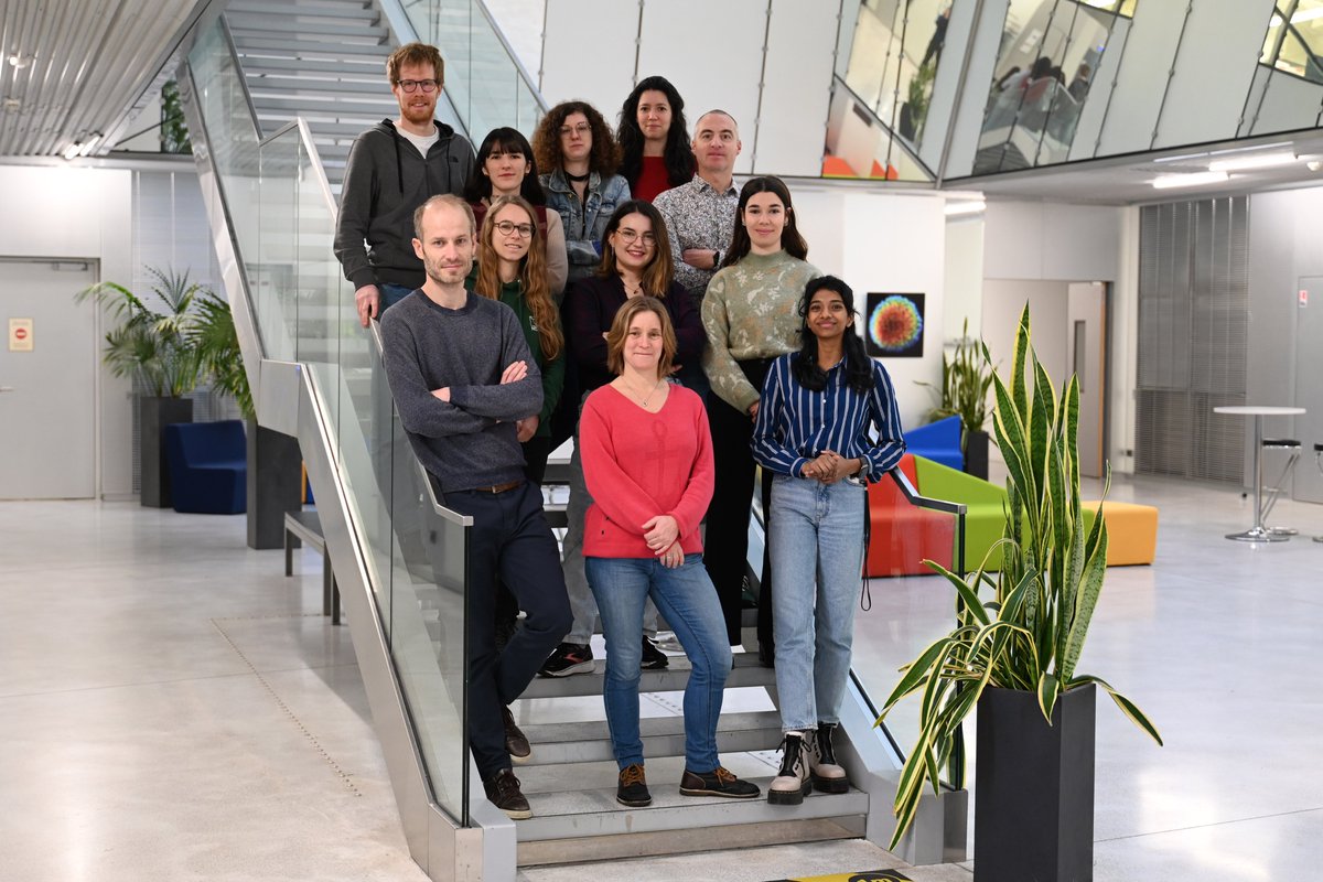 Happy to announce the launch of our research team at @iins_bordeaux -🧠🔬 Exciting times ahead with incredible people as we explore the molecular and cellular realms of brain circuits adaptation. Follow @MAPteam_neuro and stay tuned! #BrainResearch #Synapse'