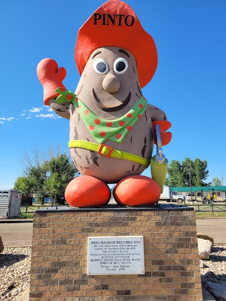 This month we celebrate Pinto Beans, the #1 bean crop in Alberta! Grown in Southern AB, pinto beans play an important role in crop rotation. Next time you’re in Southern Alberta, check out the world’s largest pinto bean, Pinto McBean in Bow Island! #LoveCDNBeans #betterwithbeans