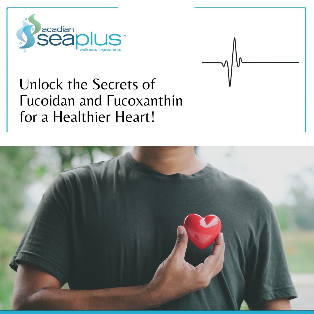 Happy #heartmonth! Discover the incredible benefits of fucoidan and fucoxanthin, naturally present in seaweed, for year-round heart support. Dive into a heart-healthy lifestyle by incorporating these powerful compounds into your diet. Learn more: acadianseaplus.com/foods-to-eat-f…