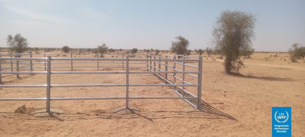 WFP_Mali's tweet image. #Mali 🇲🇱 Plus de 2⃣4⃣0⃣0⃣ éleveurs de la région de #Nara disposent désormais de 2 parcs de vaccination pouvant accueillir 9 000🐄bœufs pour réduire les risques de maladies. Ces infrastructures sont installées grâce au soutien de @WFP_Mali, @leFIDA, dans le cadre du projet #SD3C*.