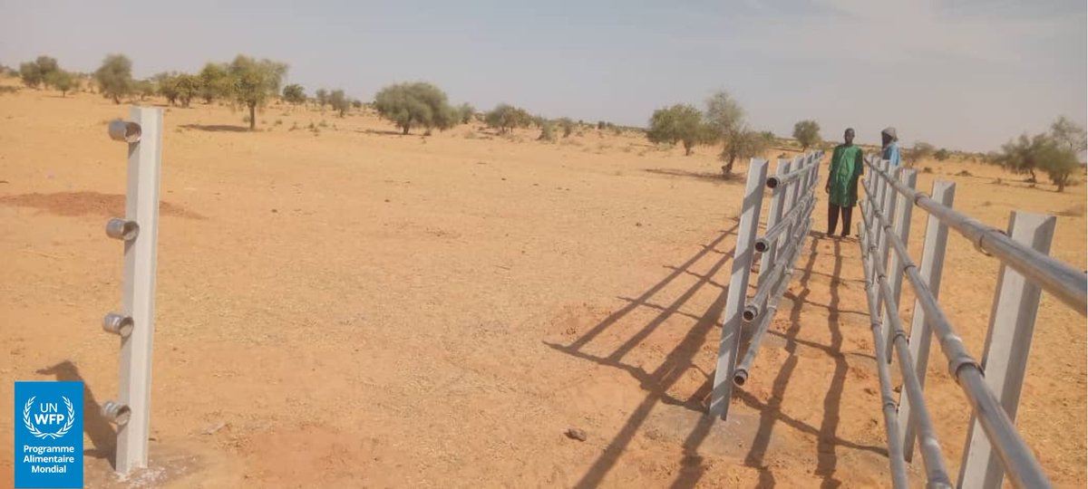 WFP_Mali's tweet image. #Mali 🇲🇱 Plus de 2⃣4⃣0⃣0⃣ éleveurs de la région de #Nara disposent désormais de 2 parcs de vaccination pouvant accueillir 9 000🐄bœufs pour réduire les risques de maladies. Ces infrastructures sont installées grâce au soutien de @WFP_Mali, @leFIDA, dans le cadre du projet #SD3C*.
