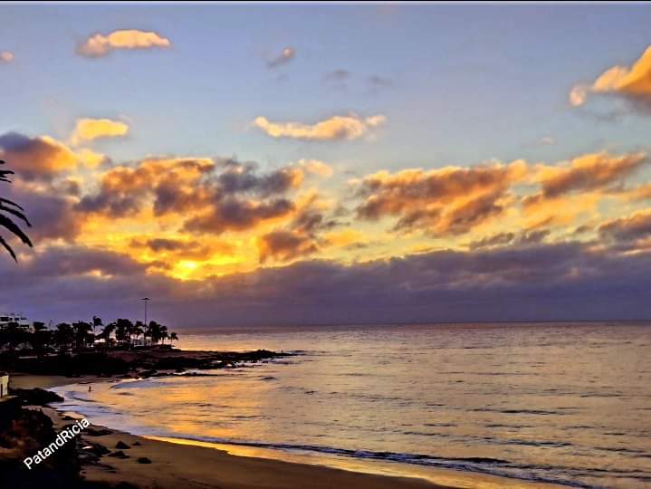 PATandRICIA's tweet photo. After 101 days in January, a warm welcome to February 🤍
#artwork #artist #artlovers #naturelovers #photoblogger #pictureoftheday #pictureperfect #mentalhealth #skyphotography #magical #art #apictureisworthathousandwords #wintersun #February #February1st #FebruaryWish #2024Goals https://t.co/99MW8W72up