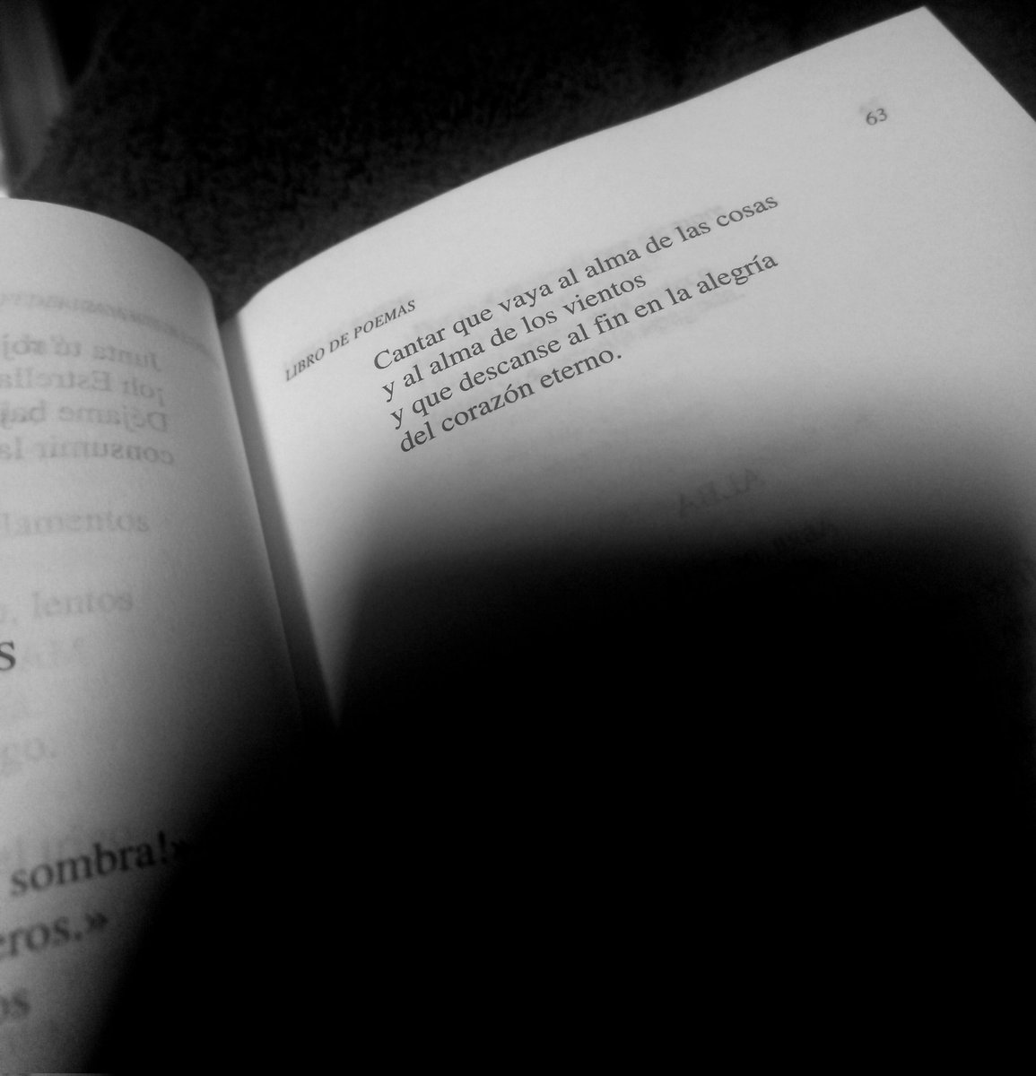 astutaka's tweet image. Yo tengo sed de aromas y risas,
sed de cantares nuevos
sin lunas y sin lirios,
y sin amores muertos.
Un cantar de mañana que estremezca a los remansos quietos del porvenir. Y llene de esperanza sus ondas y sus cienos.
@GarciaLorcaFV 🖤