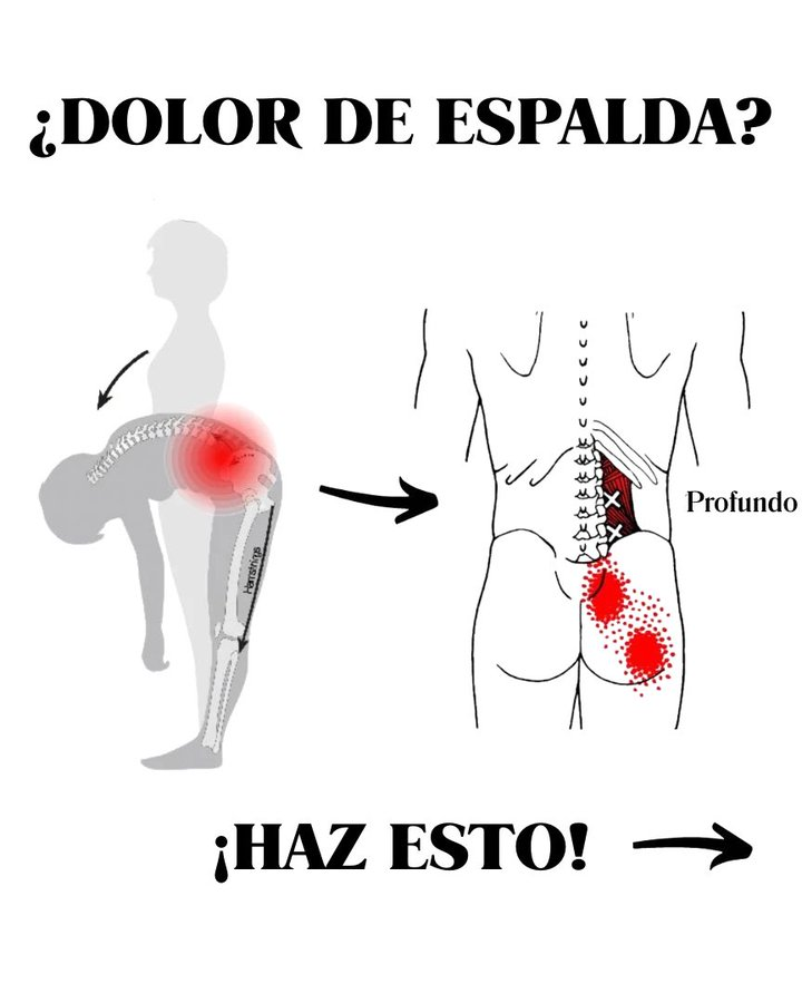 En solo 7 días, descubre estos 6 ejercicios secretos para aliviar tu dolor de espalda.

[🔖El ejercicio número 4 es muy eficaz]

HILO🧵