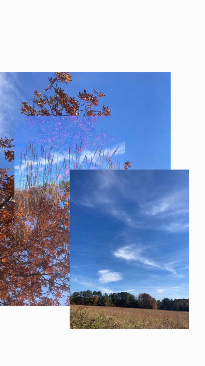 ‘redamancy’, the second single off ‘Intergrade’ is out now on all streaming services 💕🌸