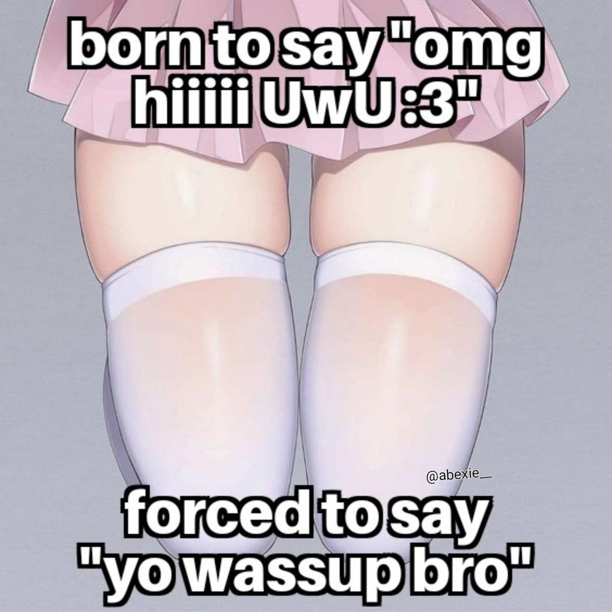 Daily Femboy Memes (@dailyfemboydose) on Twitter photo 