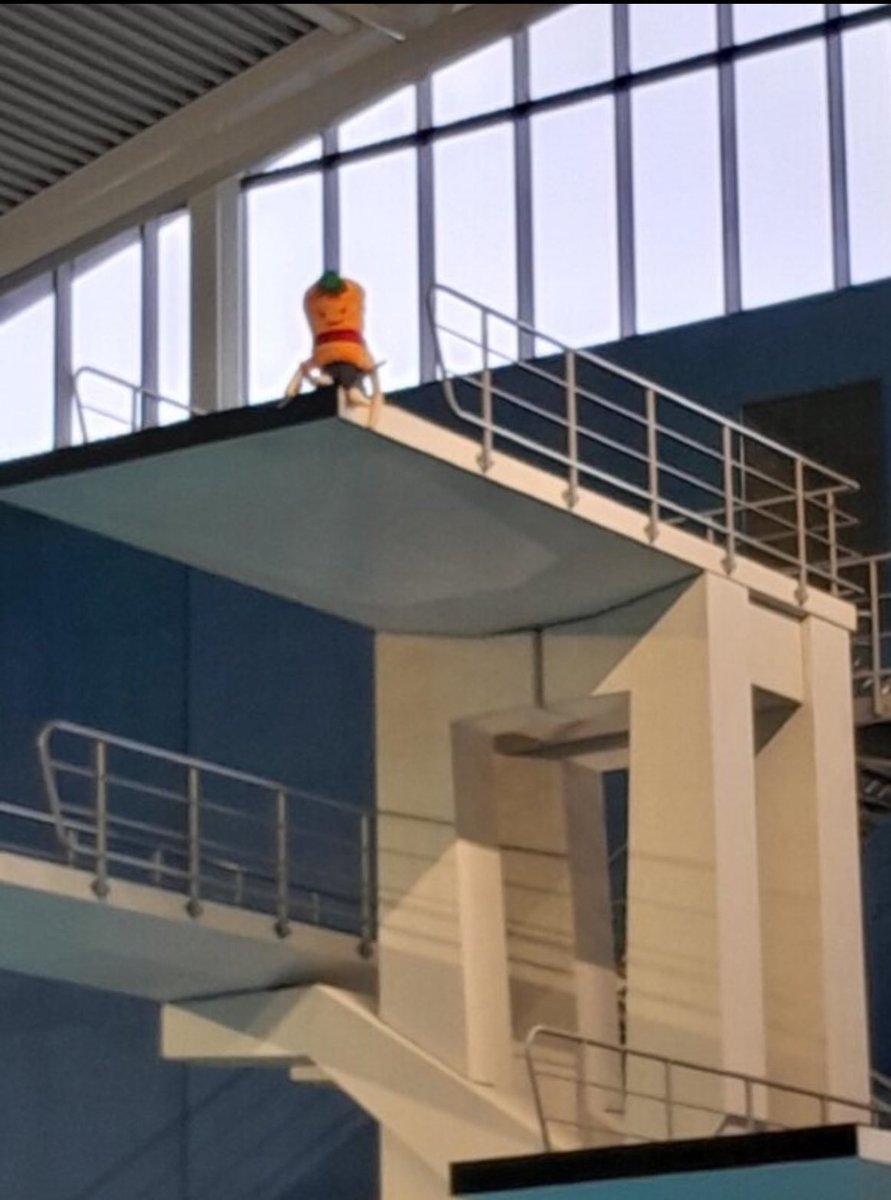Yesterday, Kevin went swimming with Hawks and had the best time. He got to sit on the drivers seat on the coach and once he got to Sandwell Aquatics Centre he went to the top diving board- Luckily he remembered to put his arm bands on! @SLTGetActive