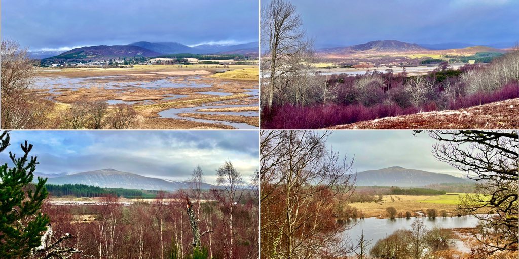 Today, Insh Marshes & Kincraig #walking #inshmarshes #kincraig #riverspey #rivertromie #speysideway #easthighlandway #badenochway #badenoch #highlands #cairngormsnationalpark