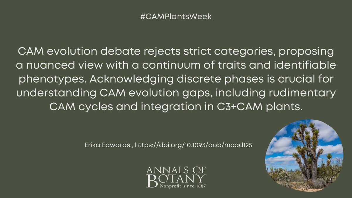 Annals of Botany (@annbot) on Twitter photo 🌵 #CAMPlantsWeek
Reconciling continuous and discrete models of C4 and CAM evolution by Erika Edwards in <a href="/annbot/">Annals of Botany</a>
#openaccess article
👉 botany.fyi/H7D0Bp
#PlantScience #Botany 🌵 #CAMPlantsWeek
Reconciling continuous and discrete models of C4 and CAM evolution by Erika Edwards in <a href="/annbot/">Annals of Botany</a>
#openaccess article
👉 botany.fyi/H7D0Bp
#PlantScience #Botany