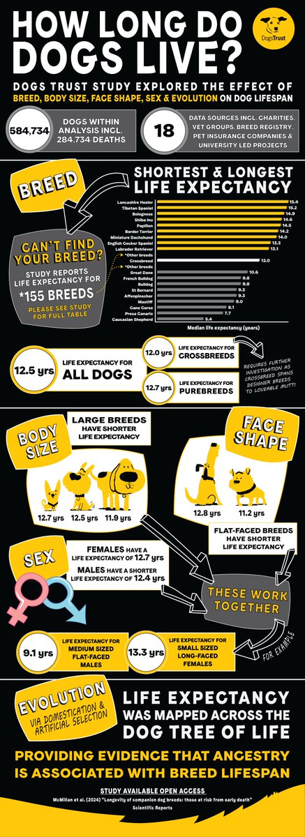 📢 Hot off the press! New research led by Dogs Trust provides novel insights into the life expectancy of companion dogs 🐶 Published #OpenAccess today in <a href="/SciReports/">Scientific Reports</a> 🧵1/5