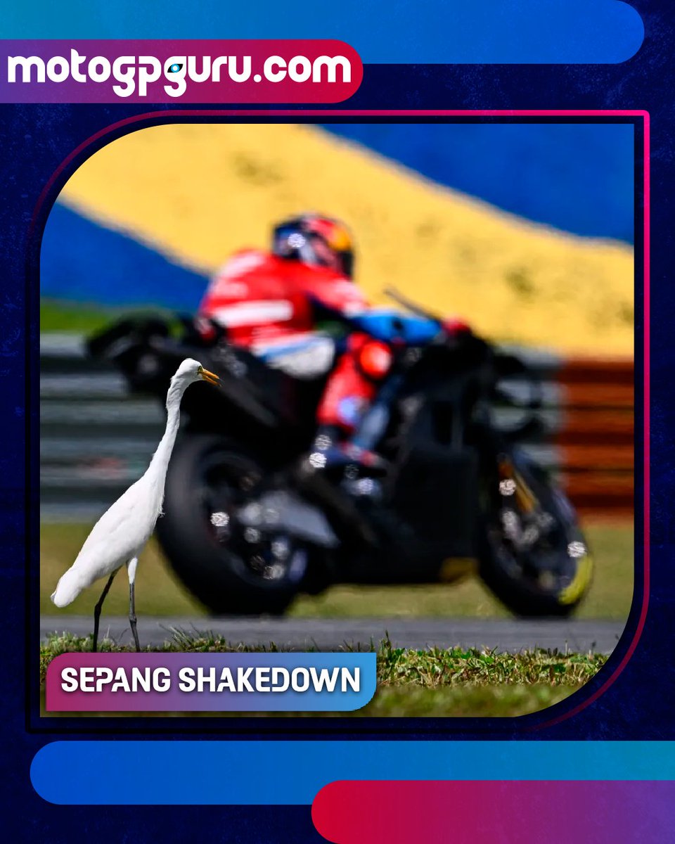 The sound of engines revving at the #SepangShakedown is music to our ears! 🎶
Welcoming back the riders to the track, and the excitement grows for the upcoming lights out in Qatar! 🏍️🏁

#MotoGP #MotoGPGuru #REVV #Racing #Motorsport #Motorcycle #GrandPrix #Explore #Experience
