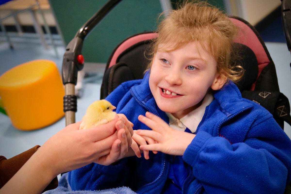 🐣 📷 Over the last two weeks we have had an ‘egg’cellent time enjoying our amazing annual ‘Living Eggs’ experience! The children have loved seeing the chicks hatch from their eggs and watching them grow into six adorable baby chicks!📷