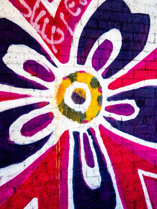 A close-up on a mural of a flower painted in purple, pink, white, and yellow.