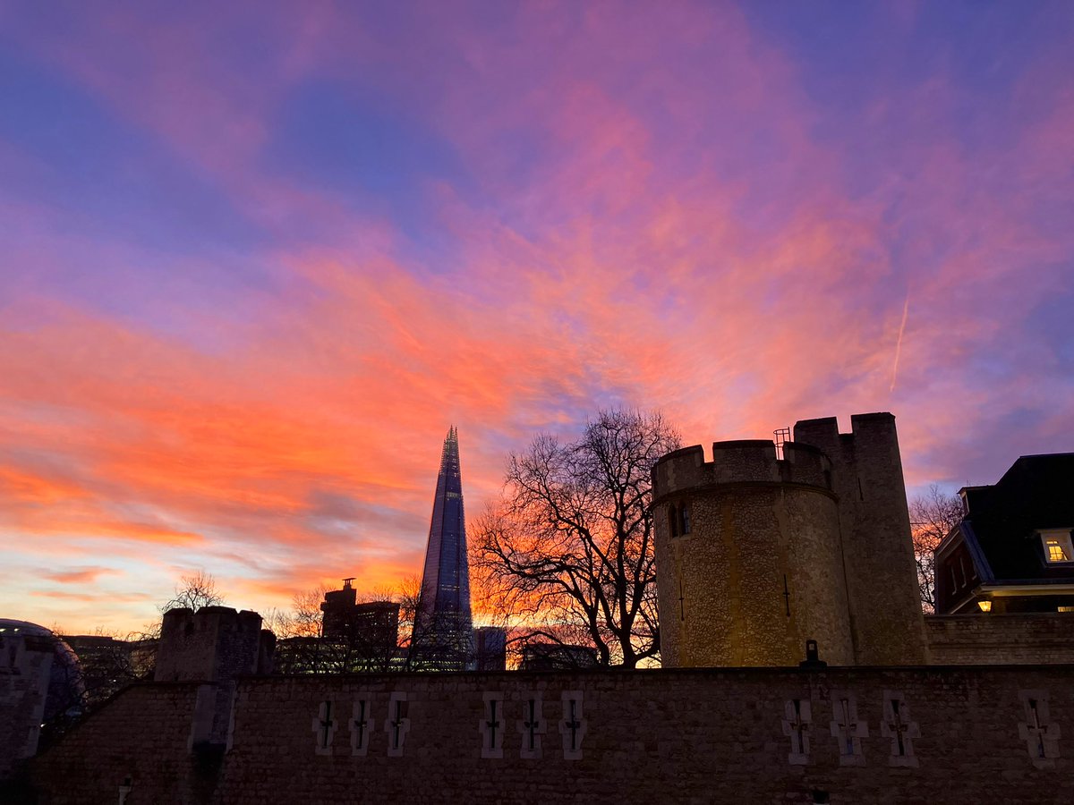 Cecile Brisson tweet media