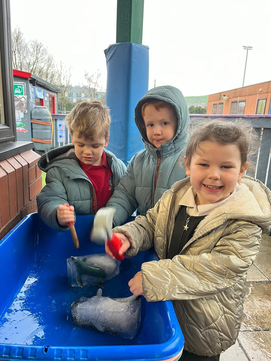 YsgolGymraegD's tweet photo. Rydym ni wedi bod yn dysgu llawer am yr anifeiliaid sy’n byw yn yr arctig a’r antarctig yr wythnos hon! ❄️ #arthwen #walrws #morfil #gwydd #morlo #pengwin #carw #blaidd #cadno #cwningen 🐋🦭🐻‍❄️ https://t.co/fOMXMp4grb
