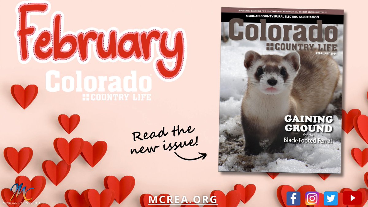 Morgan County REA tweet media