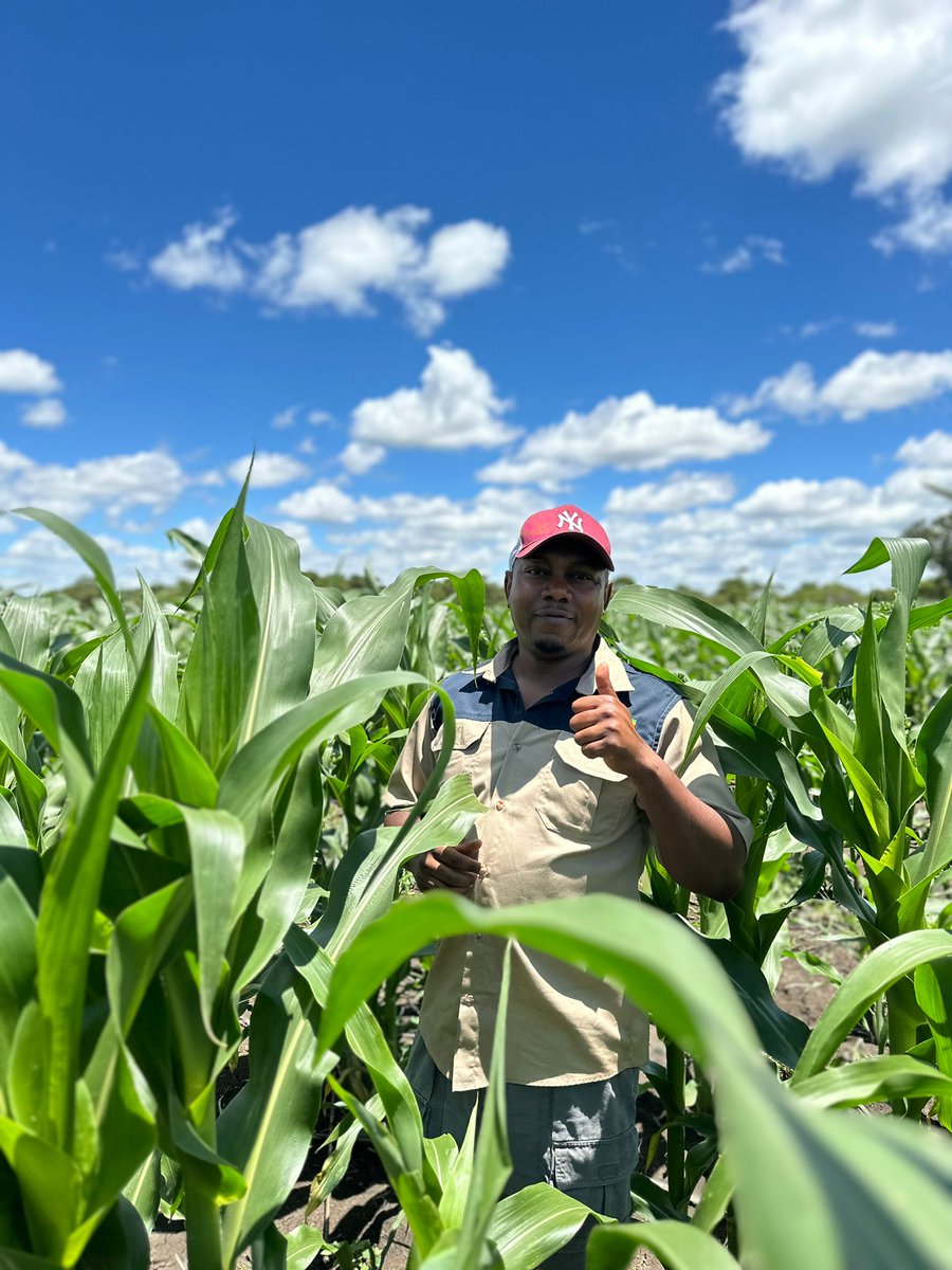 Agriculture is the most healthful, most useful and most noble employment of man.

– George Washington