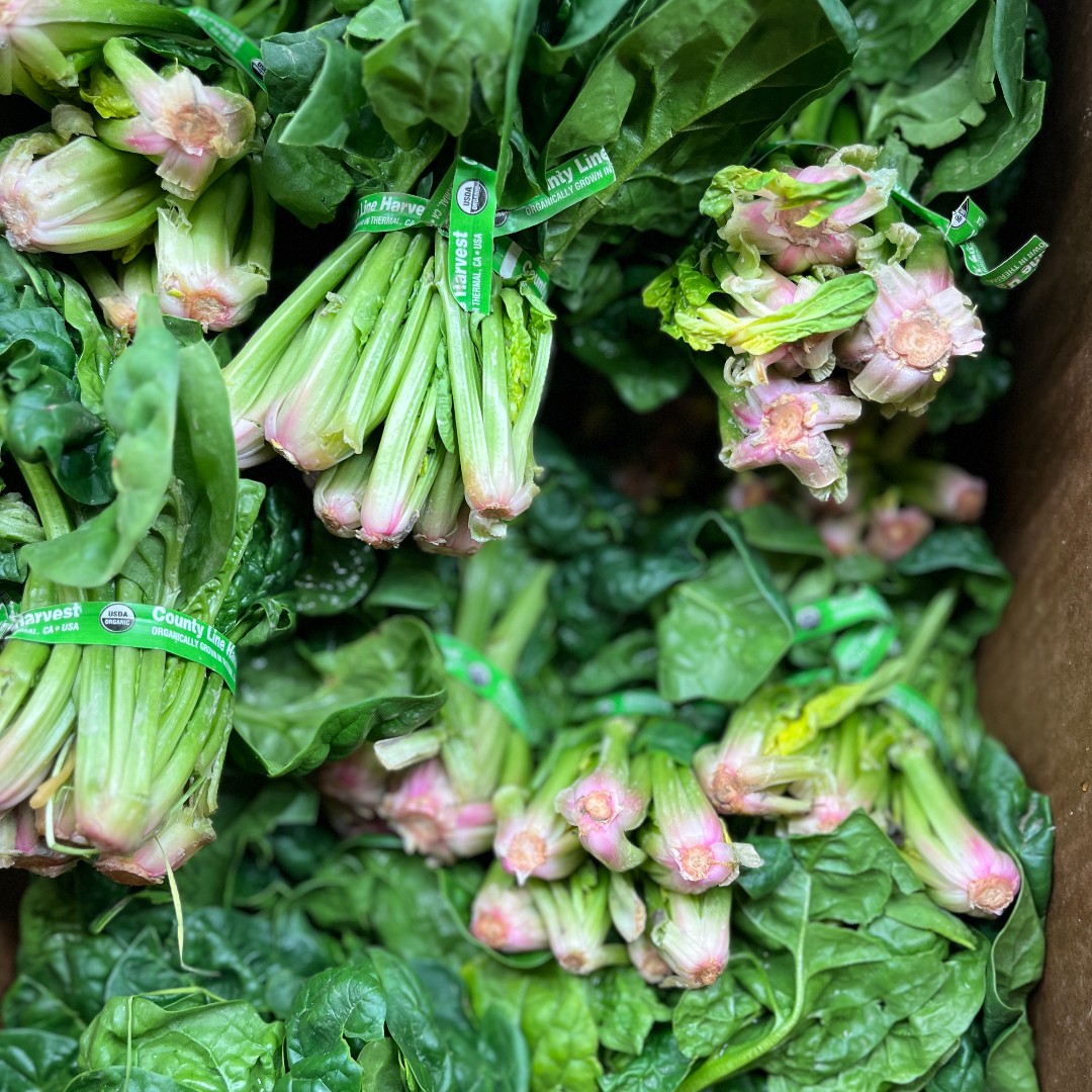 Our 150 hunger relief partners contribute to a vast network of pantries, dining rooms, shelters, and group homes—all sourcing food from our Food Connections Market. These beautiful items are just a glimpse of its bounty! 🍏🥔🥗