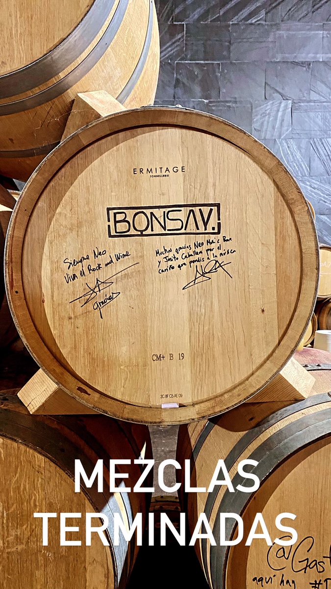 MEZCLAS TERMINADAS 🎛️✅