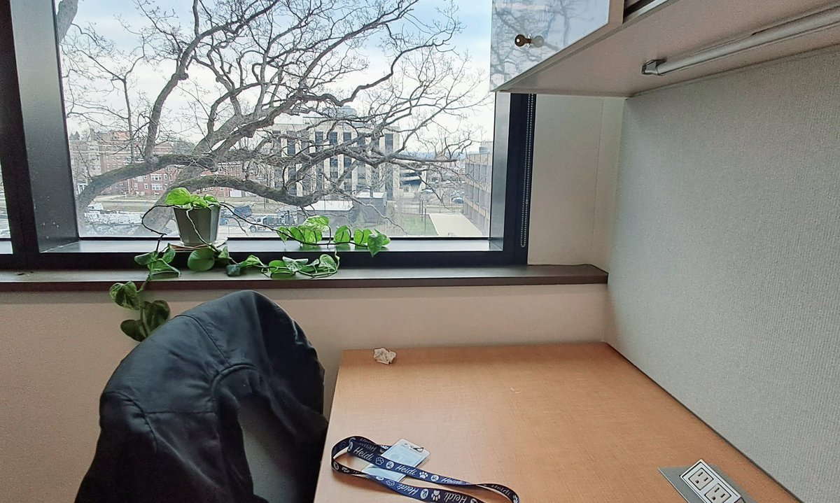 👨‍🔬 First day as a postdoc at MCDB, Yale University 🇺🇸🔬🧬🐛