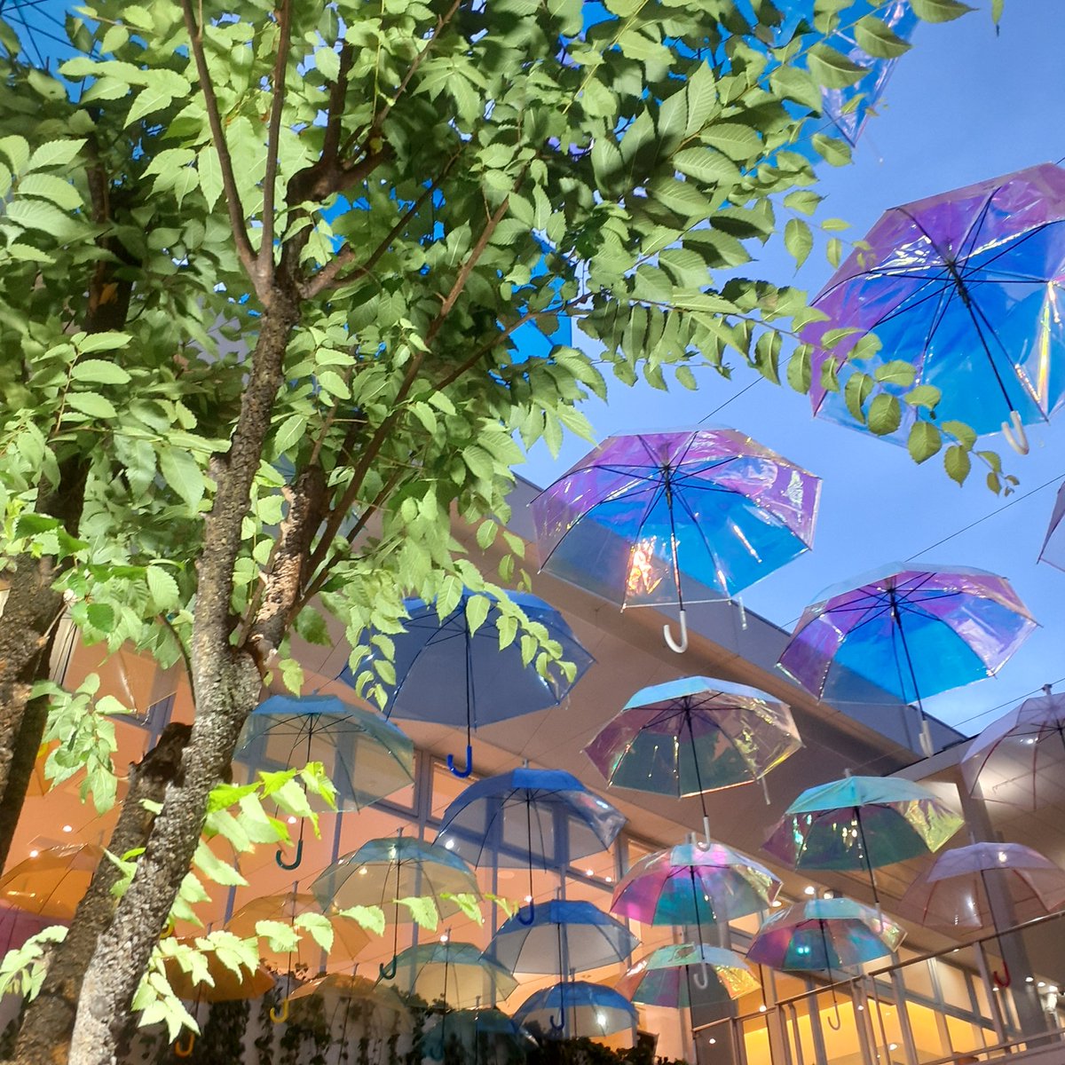 うたメロ🎀૮꒰˵• ﻌ •˵꒱ა🎀ムリなく楽しくXを🤭いつも有難う tweet media