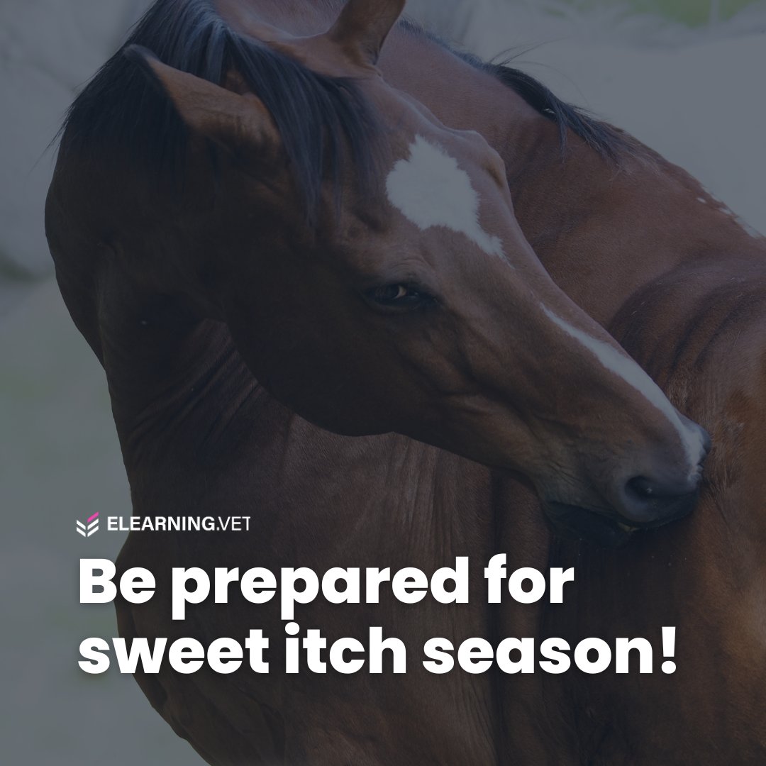 ElearningV's tweet image. Coming up this month!

A live webinar on Equine Allergic Dermatitis with renowned specialist Dr. Janet Littlewood! 🐴

Learn about the latest management strategies for insect-bite hypersensitivity and atopic dermatitis in horses. More details to follow!