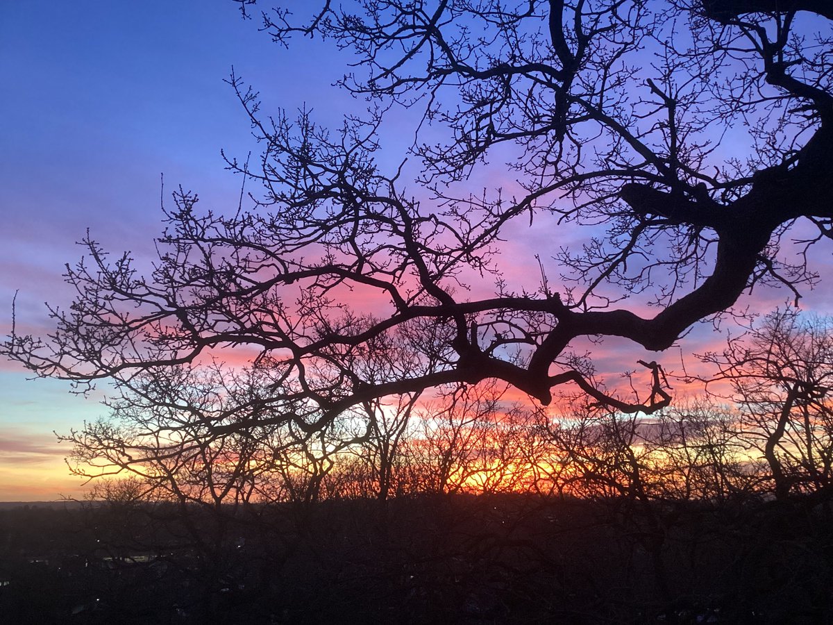 skylark22BHC1's tweet photo. An amazing sunset this evening … #theviewfrommywindow #ravensbournevalley #bromley #sunset #thursday @metoffice @bbcweather @SallyWeather @ChrisPage90 @RVResidents https://t.co/TTQrtGIdKq