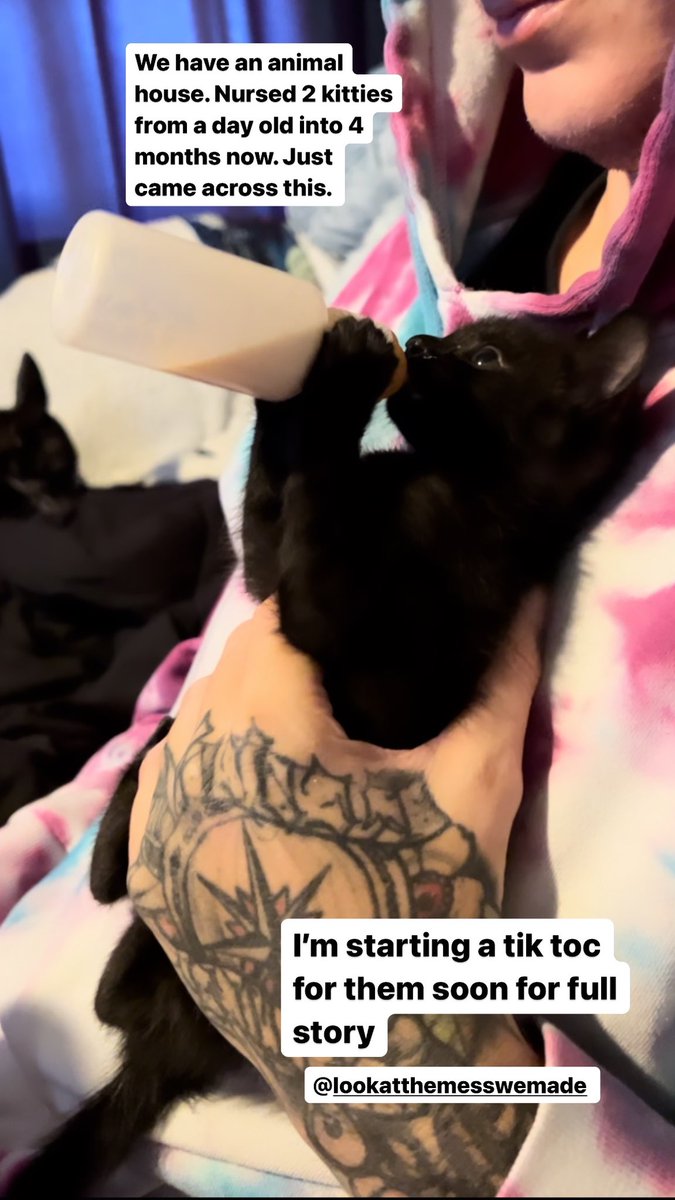 EmilyDearHeart's tweet photo. I can hold the bottle MYSELF!! 

Streaming soon ps. On CB. Hit up my IG for my username through DM or onlyfans!! https://t.co/FXGJO1qDNY