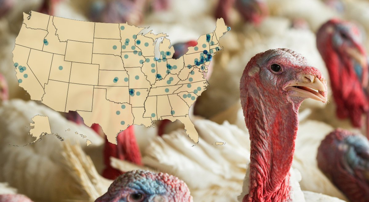 Our latest newsletter: #USDA poultry ruling excludes turkey farmers, who cry foul mailchi.mp/investigatemid…